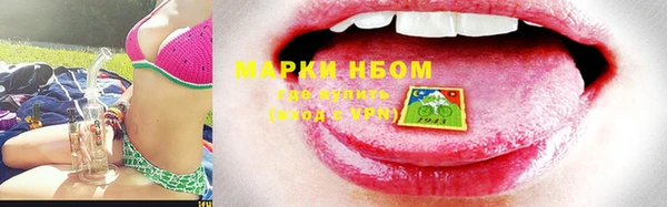 гидра Новозыбков