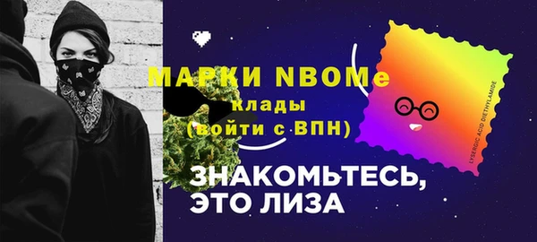 дурь Новодвинск