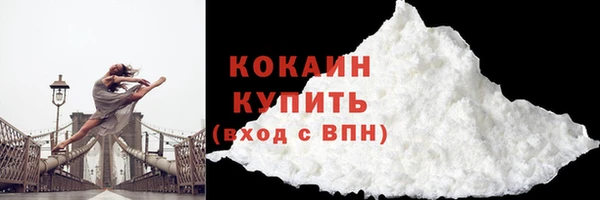 дурь Новодвинск