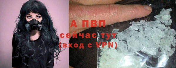 дурь Новодвинск